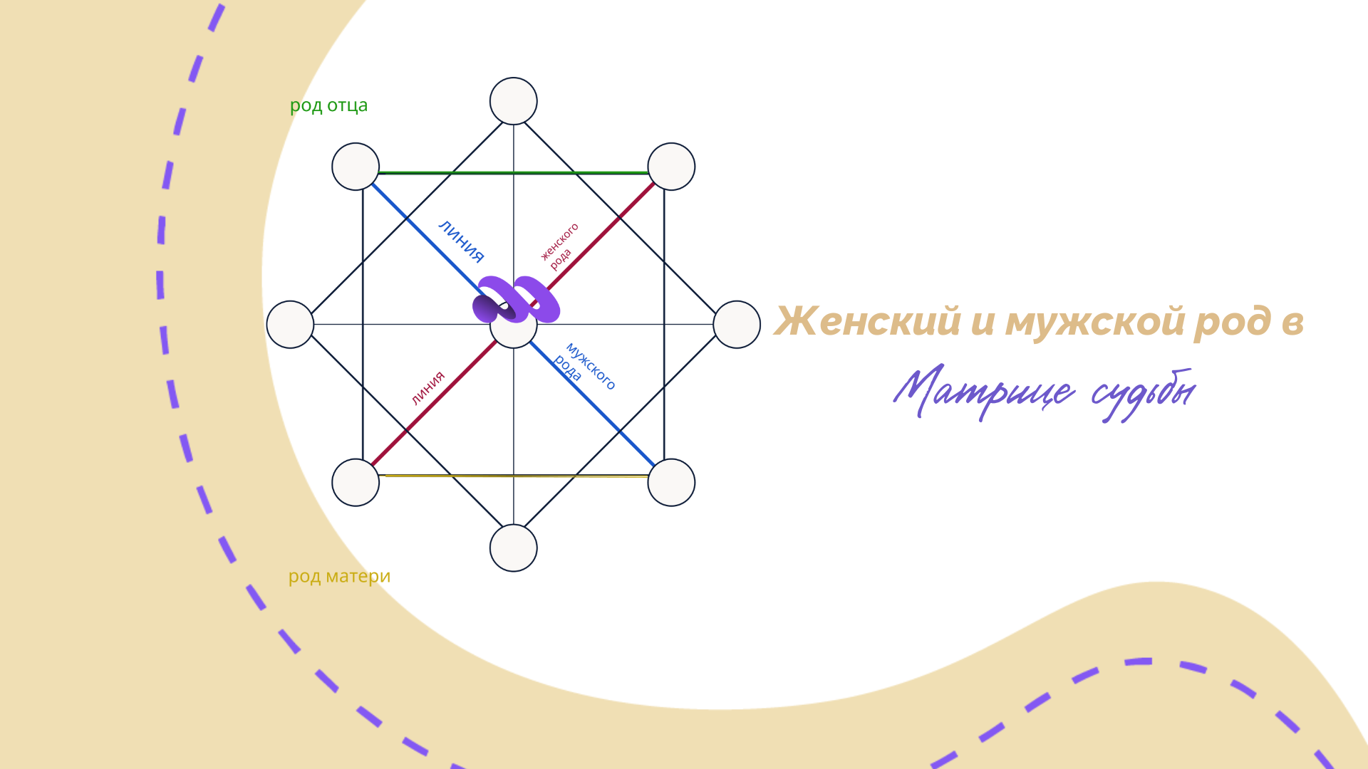 Женский и мужской род в Матрице судьбы с расшифровкой арканов